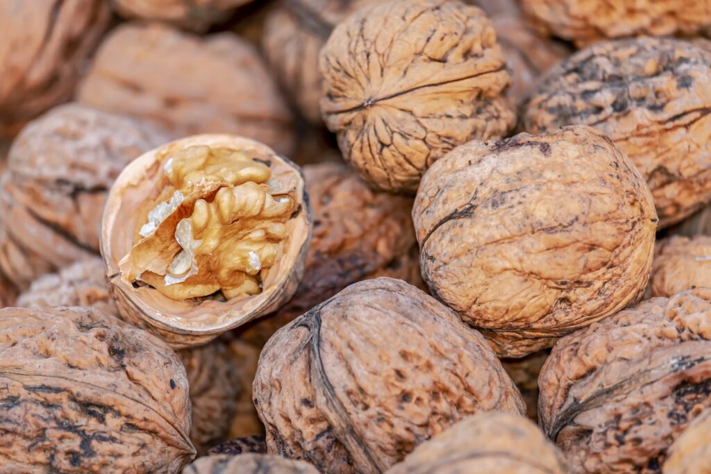 a pile of walnuts with a nut in the middle