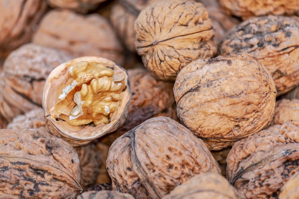 a pile of walnuts with a nut in the middle
