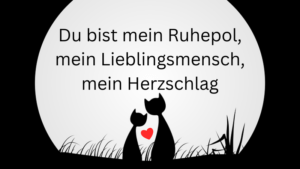 Liebeserklärung Gute Nacht mein Schatz