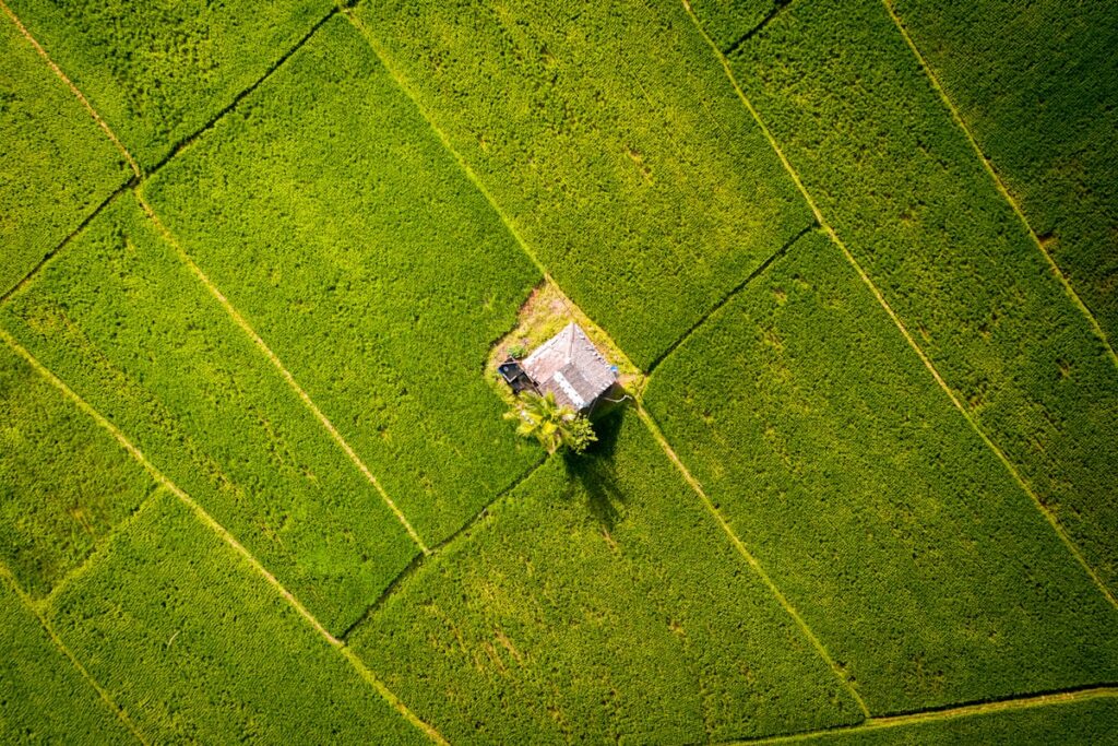 aerial view of green grass field