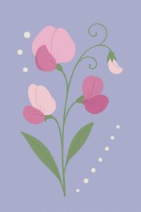 Geburtsblume April: Wicke