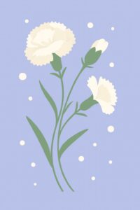 Geburtsblume Januar: Nelke