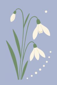 Geburtsblume Januar: Schneeglöckchen