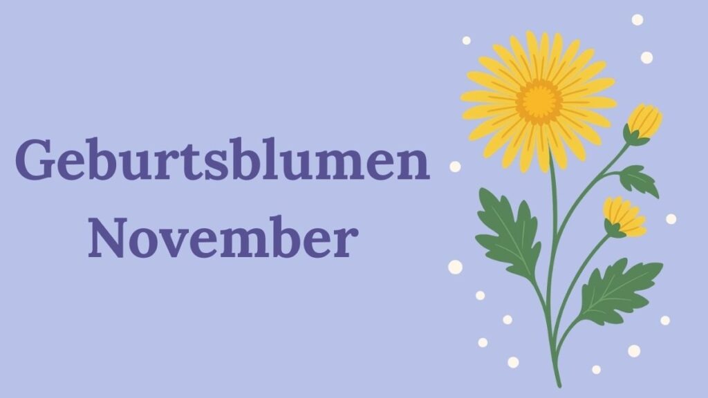 Geburtsblumen November