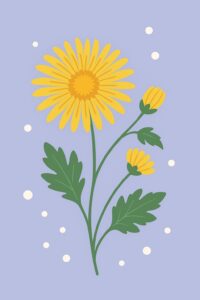 Geburtsblume November: Chrysantheme