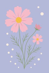 Geburtsblume Oktober: Kosmee