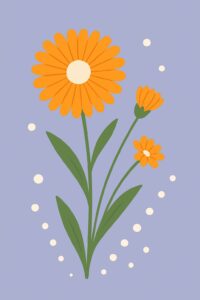 Geburtsblume Oktober: Ringelblume