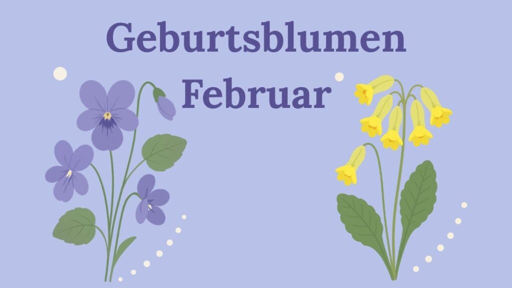 Geburtsblumen Februar