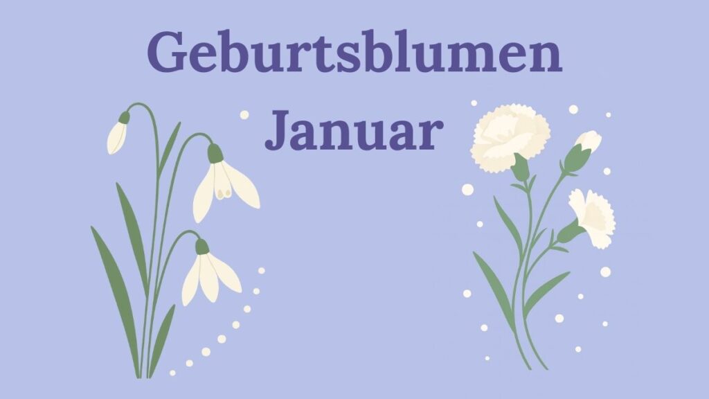 Geburtsblumen Januar