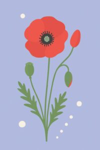 Geburtsblume August: Mohn