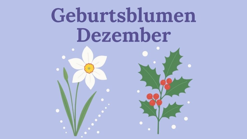 Geburtsblumen Dezember