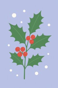 Geburtsblume Dezember: Stechpalme