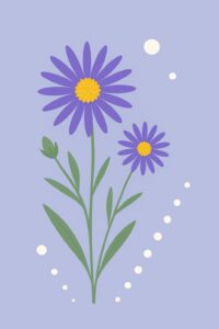 Geburtsblume September: Aster