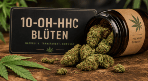 10-OH-HHC Blüten: Ein sachlicher Blick auf ein neues Thema der Hanfbranche